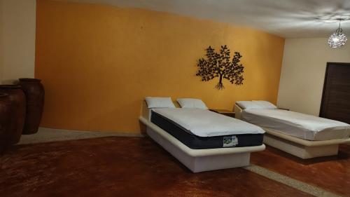 1026whatsapp_image_2026-02-12_at_11