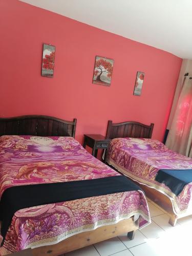 805whatsapp_image_2026-02-16_at_11