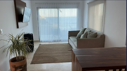 1164foto7